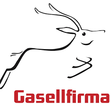 gasellifirma 1