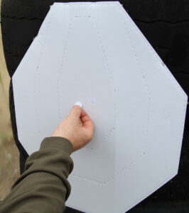 TARGET SHEET PATCHES - Image 3